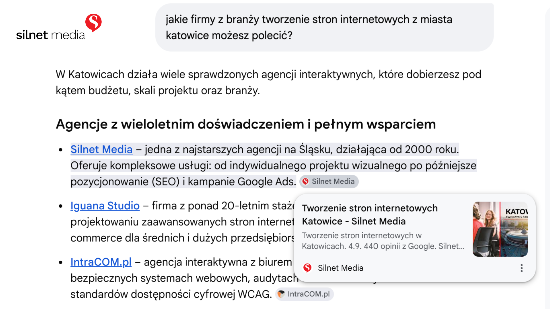 Strona lokalna a ai overviews Silnet Media
