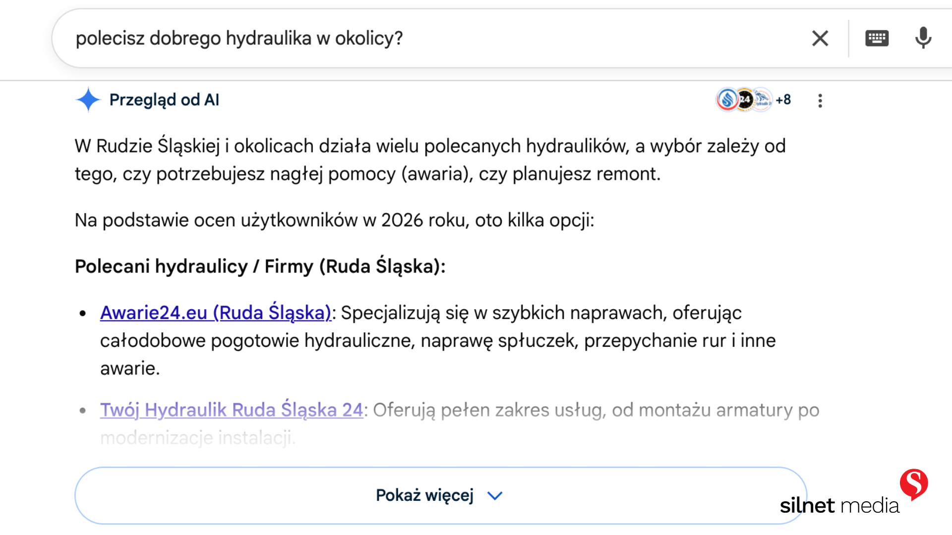 Strona lokalna a ai overviews Silnet Media